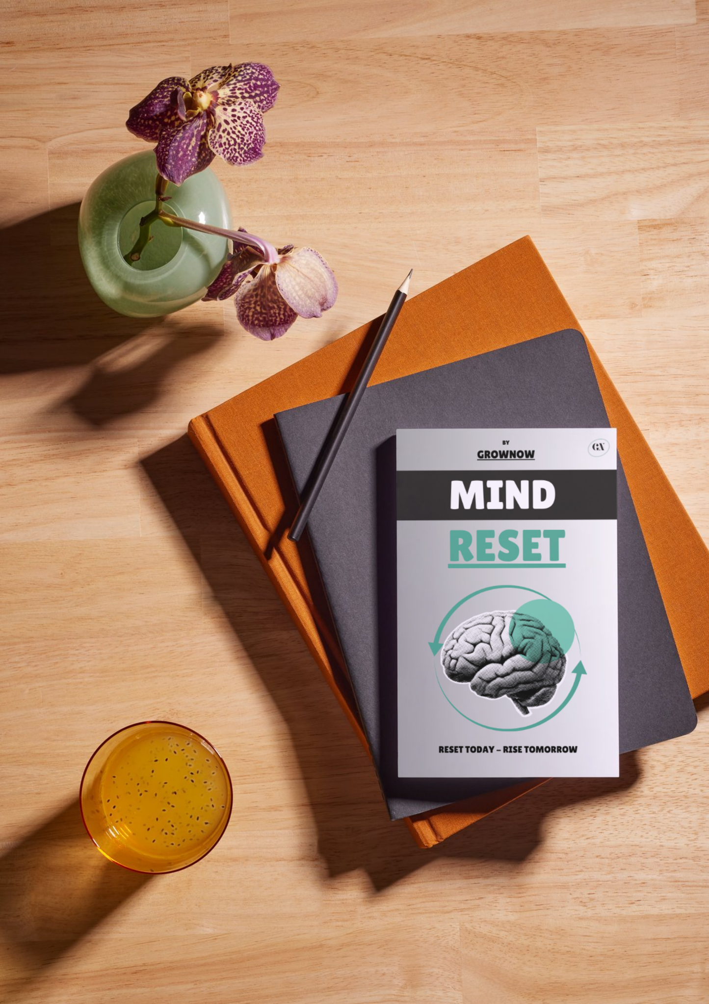 Mind Reset Ebook
